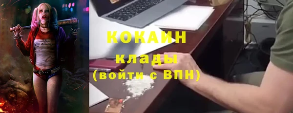 СК Волосово