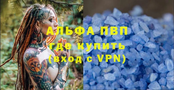 СК Волосово